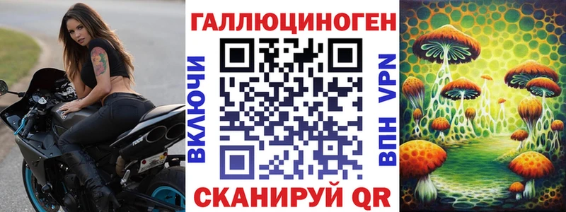 Галлюциногенные грибы Cubensis  Купить  Великие Луки 